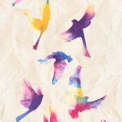 Vliestapete - Vögel - bunt - 10 Meter