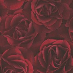 Vliestapete - Rosen - dunkelrot - 10 Meter