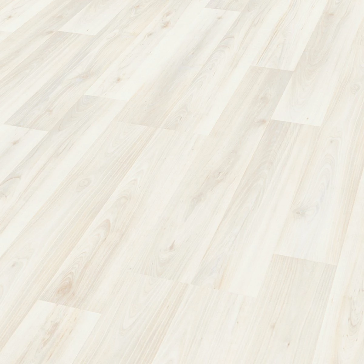 profitan Laminat - Birnbaum weiß - 8 mm 1 profitan Laminat - Birnbaum weiß - 8 mm