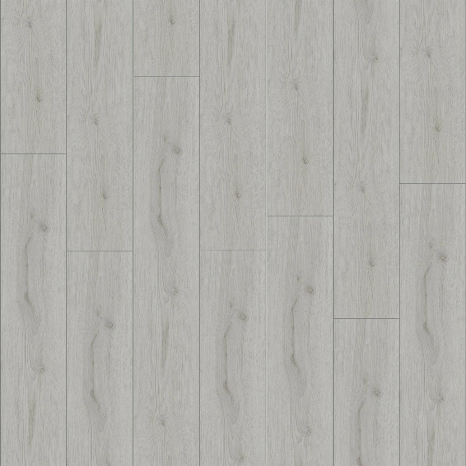 profitan Laminat - Trendeiche Silber - 8 mm 3 profitan Laminat - Trendeiche Silber - 8 mm – Bild 3