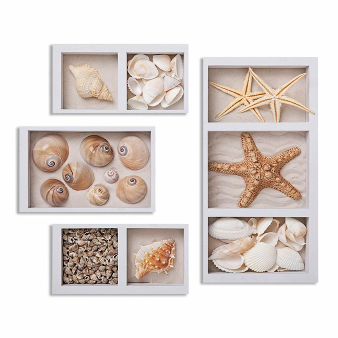 Wandtattoo - Muscheln - 4 Stück - mit Klebestreifen 1 Wandtattoo - Muscheln - 4 Stück - mit Klebestreifen