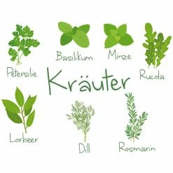 Wandtattoo - Kräuter-Motiv - selbstklebend