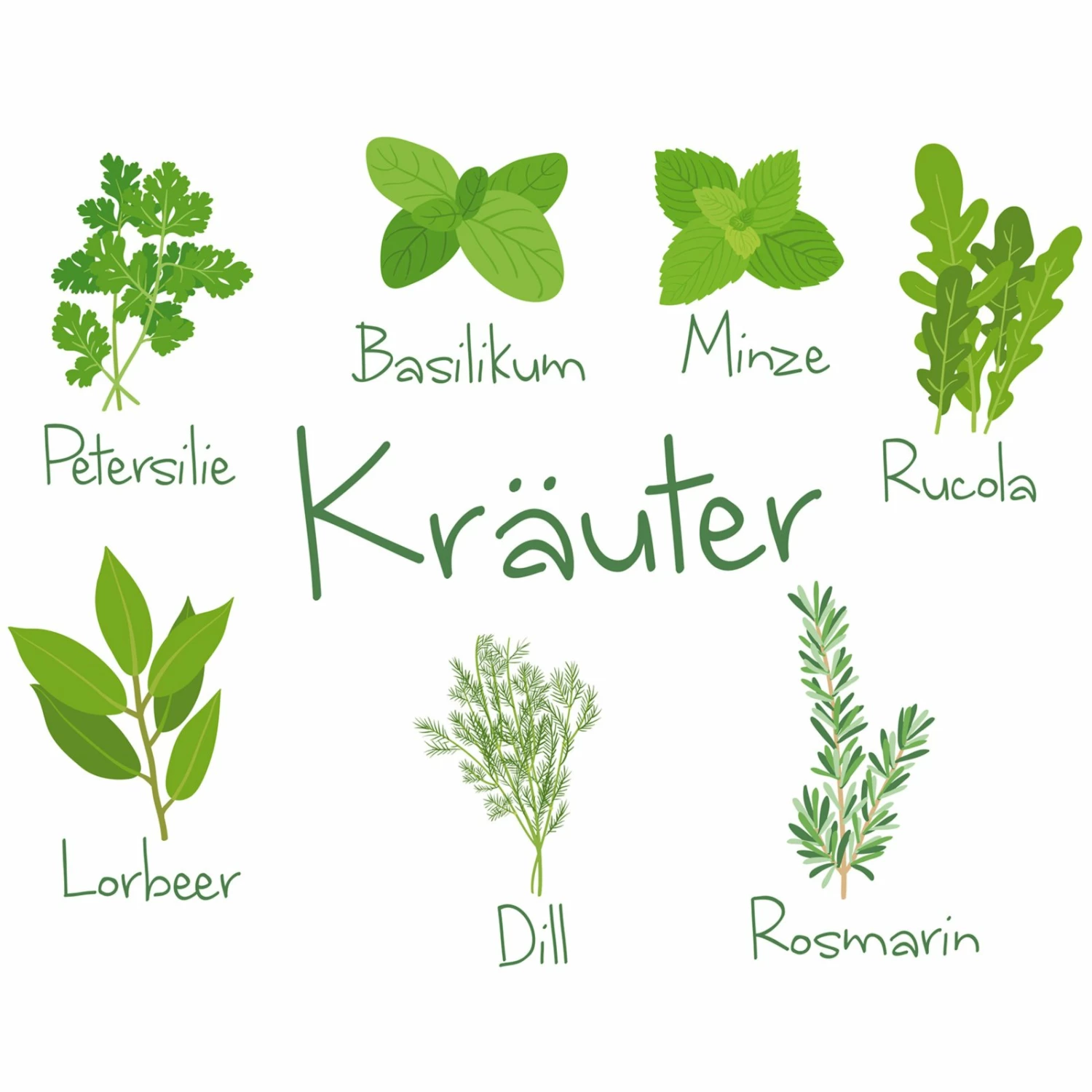 Wandtattoo - Kräuter-Motiv - selbstklebend 1 Wandtattoo - Kräuter-Motiv - selbstklebend