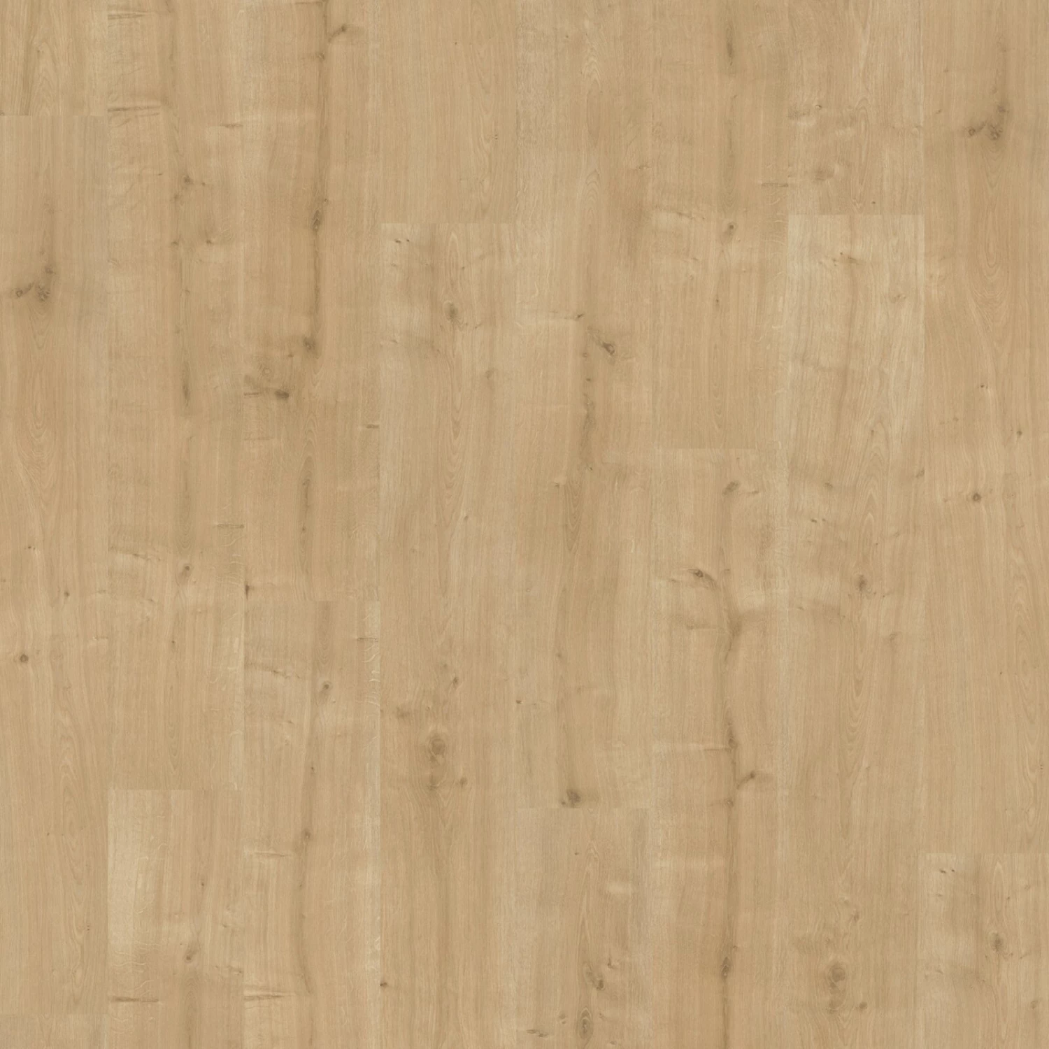 PARADOR Laminat BASIC 400 - Eiche geschliffen - 8 mm 3 PARADOR Laminat BASIC 400 - Eiche geschliffen - 8 mm – Bild 3