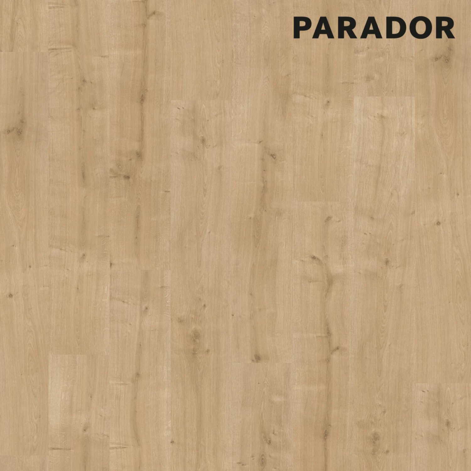 PARADOR Laminat BASIC 400 - Eiche geschliffen - 8 mm 1 PARADOR Laminat BASIC 400 - Eiche geschliffen - 8 mm