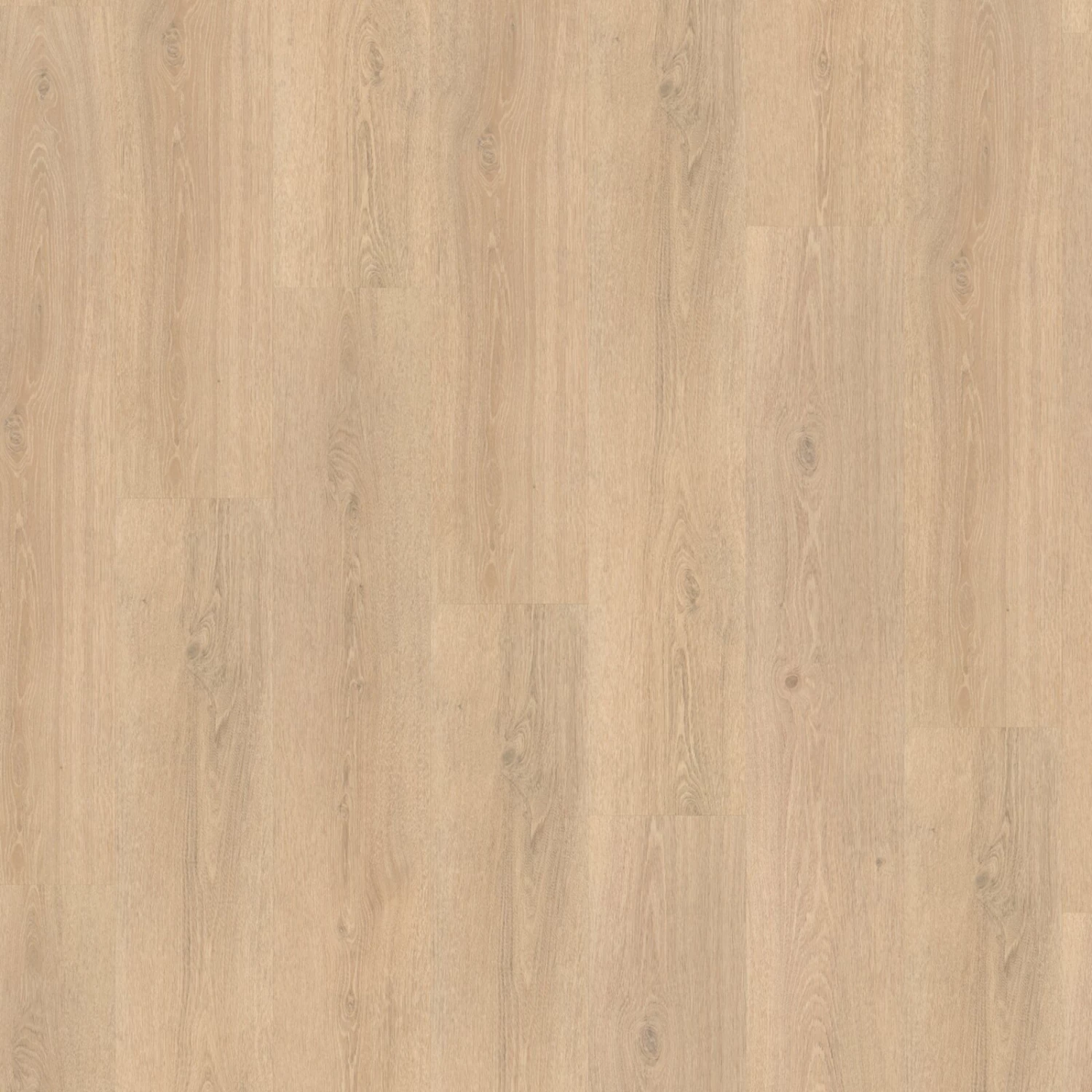 PARADOR Click-Vinyl BASIC 30 - Eiche Studioline geschliffen - 9,4 mm 3 PARADOR Click-Vinyl BASIC 30 - Eiche Studioline geschliffen - 9,4 mm – Bild 3