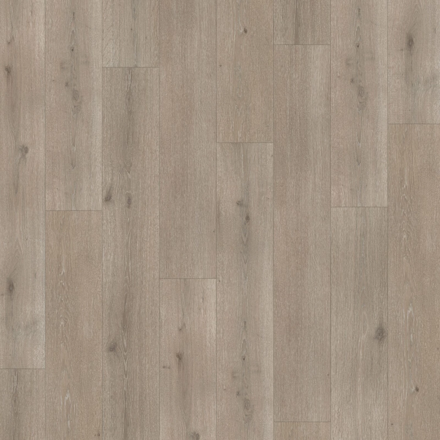 PARADOR Click-Vinyl MODULAR ONE - Eiche Urban grau gekälkt - 8 mm 3 PARADOR Click-Vinyl MODULAR ONE - Eiche Urban grau gekälkt - 8 mm – Bild 3