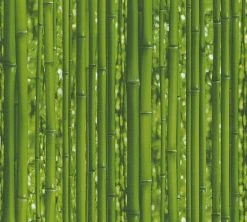 Papiertapete SIMPLY DECOR - Bambus - 10 Meter