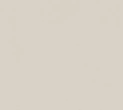 Vliestapete MEISTERVLIES 5 - beige - uni - 10 Meter