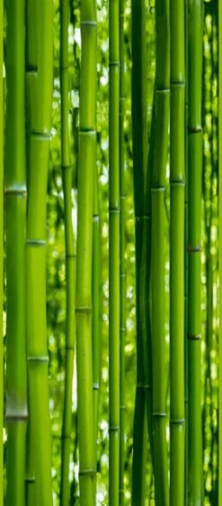 Panel POP.UP - Bambus - grün - 2,5 Meter