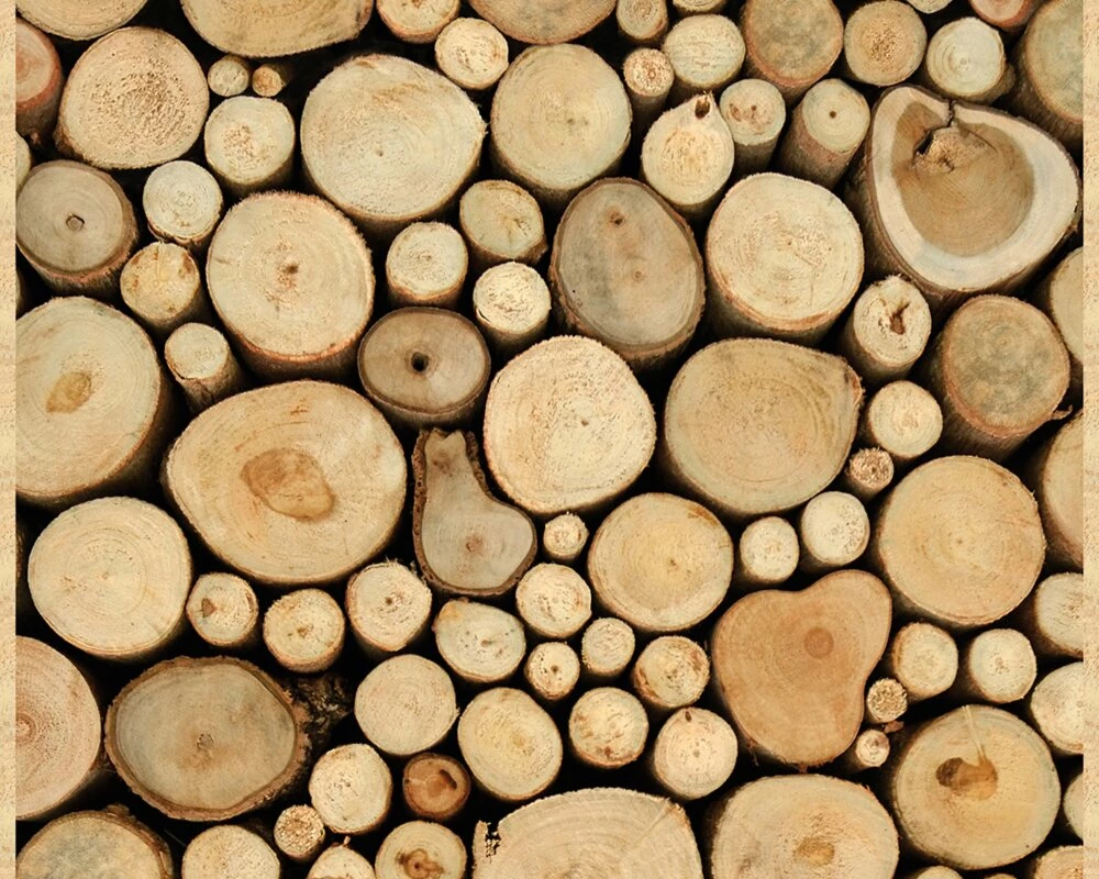 Panel POP.UP - Holz - beige-braun - 2,50 Meter 2 Panel POP.UP - Holz - beige-braun - 2,50 Meter – Bild 2