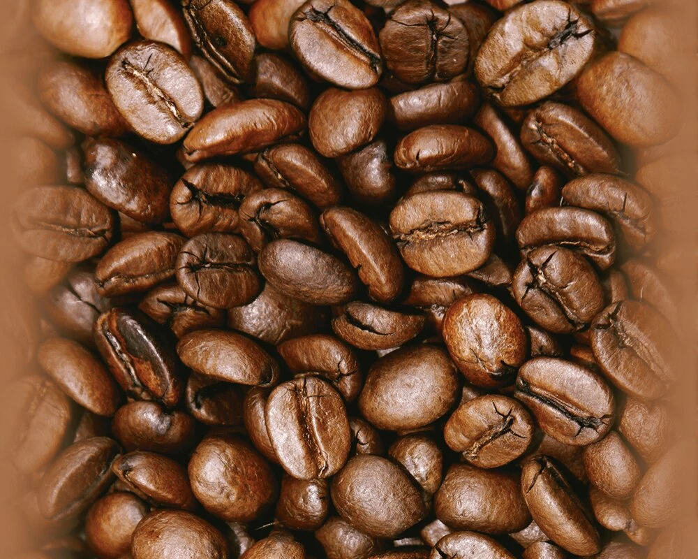 Panel POP.UP - Kaffeebohnen - 2,50 Meter 2 Panel POP.UP - Kaffeebohnen - 2,50 Meter – Bild 2