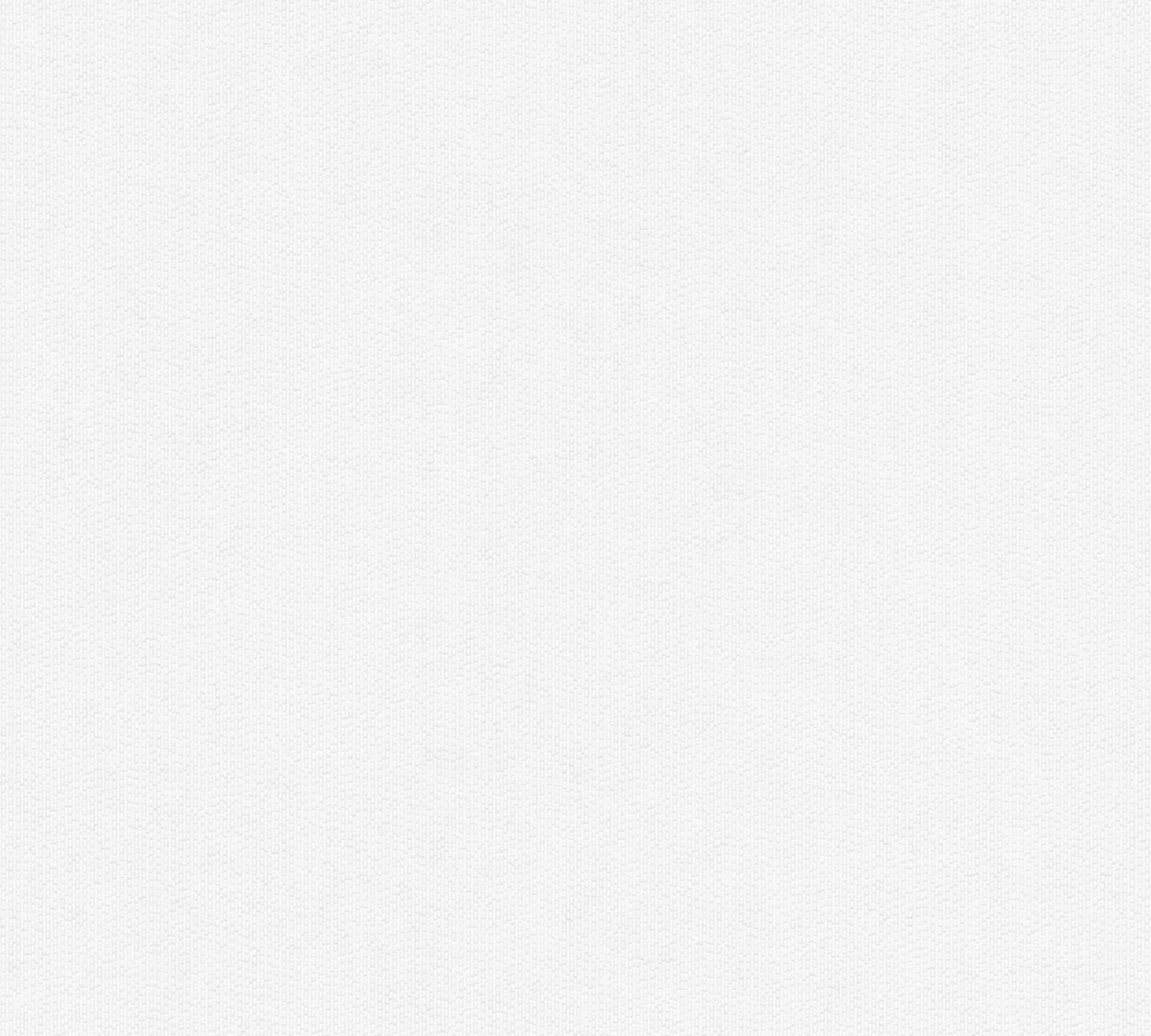 Vliestapete MEISTERVLIES 4 GO - weiß - 10 Meter 1 Vliestapete MEISTERVLIES 4 GO - weiß - 10 Meter