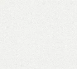 Vliestapete MEISTERVLIES 4 PROTECT GO - weiß - 10 Meter