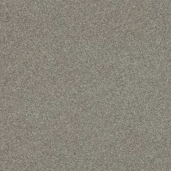 Vliestapete PASSEPARTOUT - dunkelgrau - 10 Meter