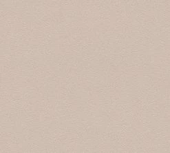 Vliestapete NEUE BUDE 2.0 - braun - 10 Meter