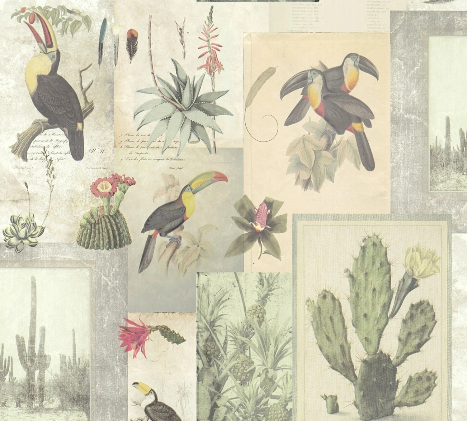 Vliestapete AUTHENTIC WALLS 2 - beige-grün-grau - 10 Meter 1 Vliestapete AUTHENTIC WALLS 2 - beige-grün-grau - 10 Meter