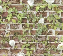 Papiertapete AUTHENTIC WALLS 2 - Stein - braun-grün - 10 Meter