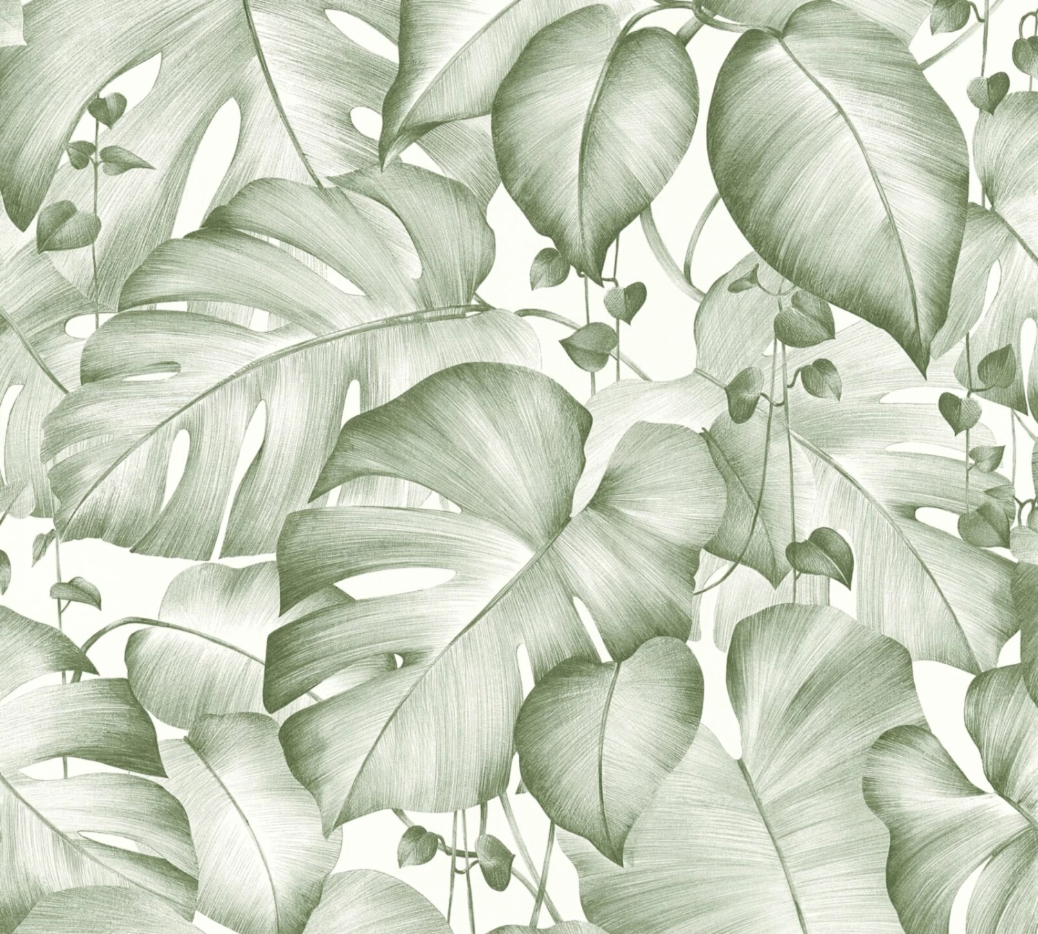 Vliestapete - COLIBRI - Palmenblatt - grün-weiß - 10 Meter 1 Vliestapete - COLIBRI - Palmenblatt - grün-weiß - 10 Meter