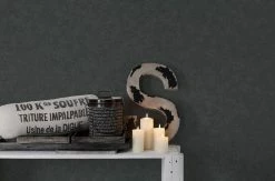 Vliestapete - schwarz - 10 Meter 7 Vliestapete - schwarz - 10 Meter -Baumarkt Verkaufsgeschäft 9003745200 04 1600Wx1600H