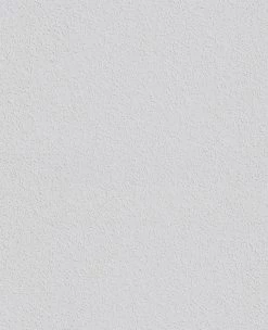 Erfurt Rauhfaser AVANTGARDE - weiß - 20 Meter -Baumarkt Verkaufsgeschäft 9004273400 04 1600Wx1600H