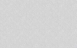 Erfurt Papierprägetapete Novaboss 393 - weiß - 10,05 Meter