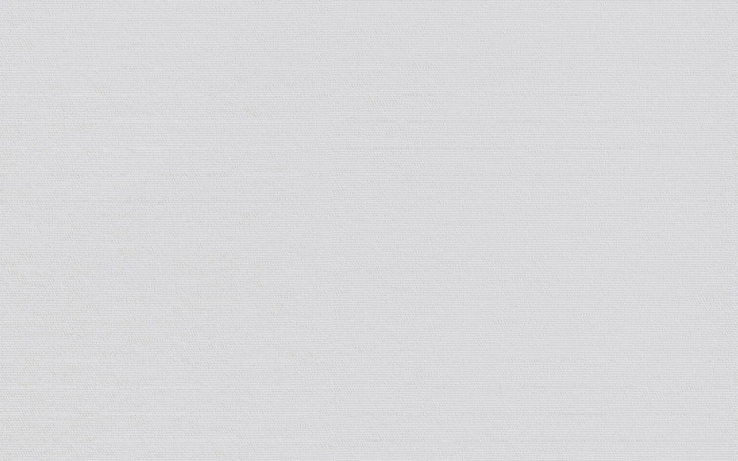 Erfurt Vliesprägetapete MAXX Economy Flax 100 - weiß - 12,5 Meter 1 Erfurt Vliesprägetapete MAXX Economy Flax 100 - weiß - 12,5 Meter