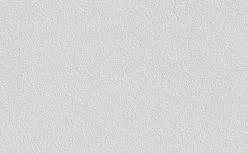 Erfurt Vliesprägetapete MAXX Premium Pebble 200 - weiß - 12,5 Meter