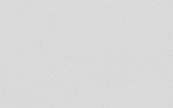 Erfurt Vliesprägetapete MAXX Premium Flowers 201 - weiß - 12,5 Meter