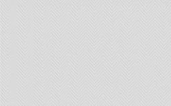 Erfurt Vliesprägetapete MAXX Premium Espina 203 - weiß - 12,5 Meter