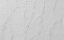 Erfurt Vliesprägetapete MAXX Premium Feather 205 - weiß - 12,5 Meter