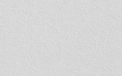 Erfurt Vliesprägetapete MAXX Premium Oyster 214 - weiß - 12,5 Meter