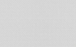 Erfurt Vliesprägetapete MAXX Premium Canasta 215 - weiß - 12,5 Meter