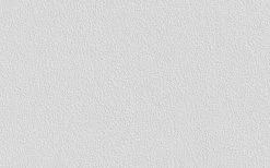 Erfurt Vliesprägetapete MAXX Premium Rock 216 - weiß - 12,5 Meter