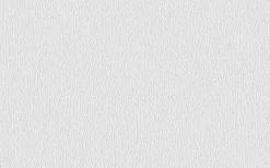 Erfurt Vliesprägetapete MAXX Premium Beldam 226 - weiß - 12,5 Meter