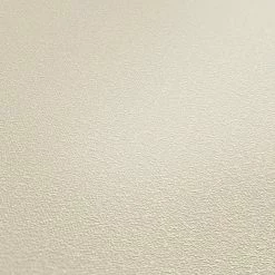 Vliestapete ATTRACTIVE - beige - 10 Meter -Baumarkt Verkaufsgeschäft 9004504700 04 1600Wx1600H