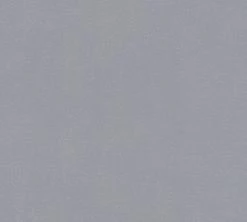 Vliestapete BLOOMING - grau - 10 Meter