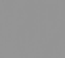 Vliestapete NEW LIFE - grau - 10 Meter