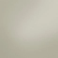 A.S. Creation Vliestapete NEW LIFE - beige-grau - 10 Meter -Baumarkt Verkaufsgeschäft 9004533600 04 1600Wx1600H