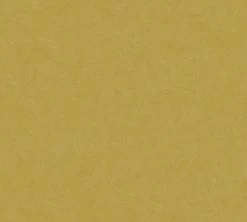 A.S. Creation Vliestapete NEW LIFE - gelb-ocker - 10 Meter