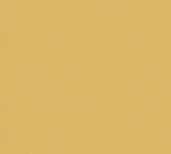 Vliestapete POP STYLE - orange - 10 Meter