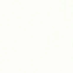 Vliestapete TRENDWALL - creme - 10 Meter -Baumarkt Verkaufsgeschäft 9004546700 03 1600Wx1600H