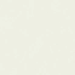 Vliestapete TRENDWALL - creme - 10 Meter -Baumarkt Verkaufsgeschäft 9004547400 03 1600Wx1600H