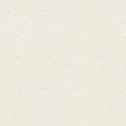 A.S. Creation Vliestapete TRENDWALL - weiß - 10 Meter -Baumarkt Verkaufsgeschäft 9004551400 03 1600Wx1600H