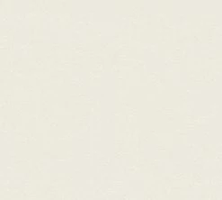 A.S. Creation Vliestapete TRENDWALL - weiß - 10 Meter