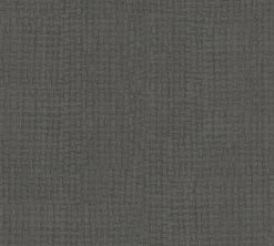 Vliestapete EXOTIC LIFE - grau-schwarz - 10 Meter