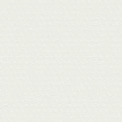 Vliestapete GREENERY - weiß - 10 Meter -Baumarkt Verkaufsgeschäft 9004568600 04 1600Wx1600H