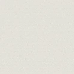 Vliestapete GREENERY - beige-creme - 10 Meter -Baumarkt Verkaufsgeschäft 9004568900 04 1600Wx1600H