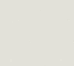 Vliestapete GREENERY - beige-creme - 10 Meter