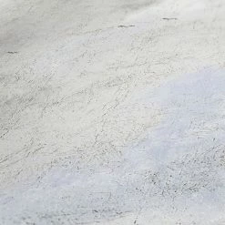 Vliestapete HISTORY OF ART - blau-weiß - 10 Meter 5 Vliestapete HISTORY OF ART - blau-weiß - 10 Meter -Baumarkt Verkaufsgeschäft 9004572500 04 1600Wx1600H